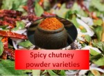 Spicy Chutney Powder Varieties