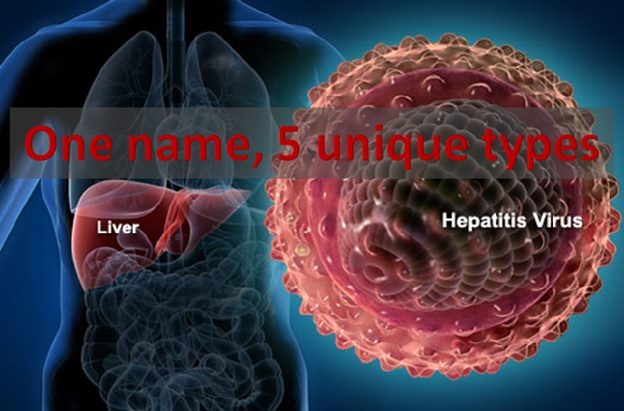 Hepatitis – One Name, Five unique types