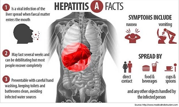 Hepatitis A Facts