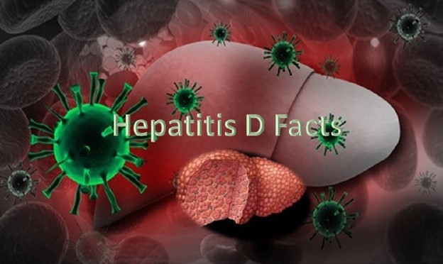 Hepatitis D Facts