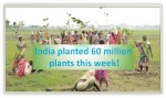 India planted 60 million plants this week!