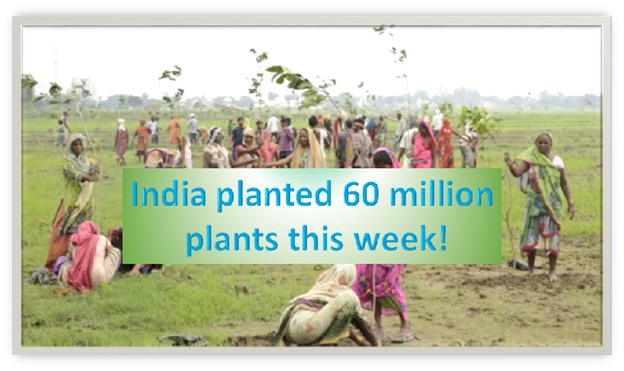 India planted 60 million plants this week!