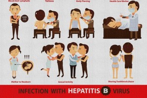 Hepatitis B Facts