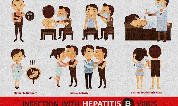 Hepatitis B Facts