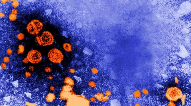Hepatitis – Understand the disease and act now