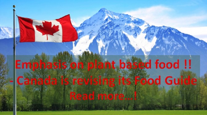 Canada Food Guide