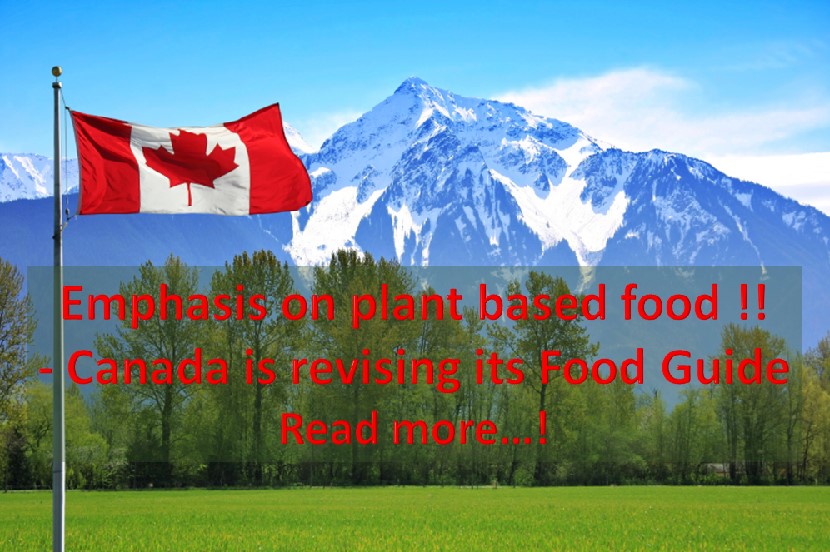 Canada Food Guide