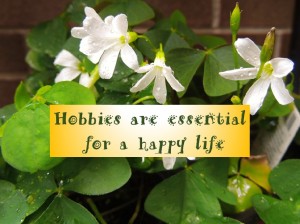 Hobbies are essential for a happy life