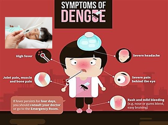 Dengue Infections