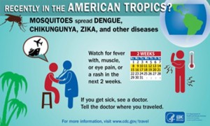 Zika, Dengue, Chikungunya – what are the differences?