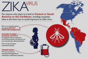 Zika Infections