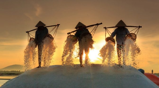 Microplastic contamination in Sea salt