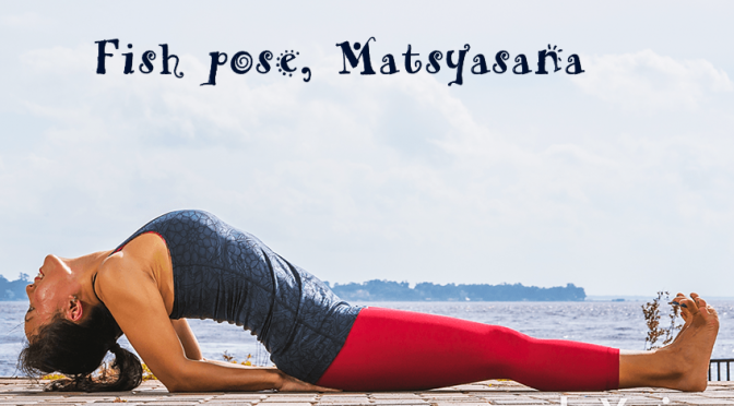 Fish pose, Matsyasana
