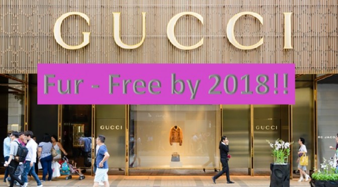 Gucci just announced fur free by 2018