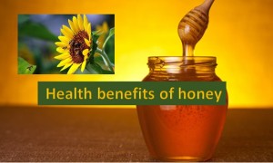 Health Benefits of honey