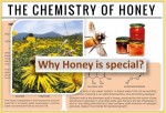 What makes honey special? Why it is in use from centuries?