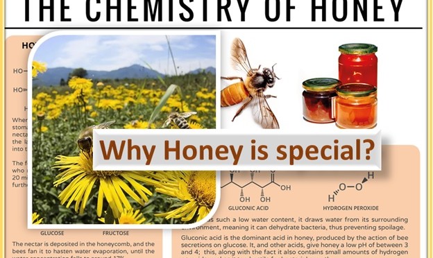 What makes honey special? Why it is in use from centuries?