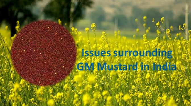 Issues surrounding GM Mustard commercialization in India