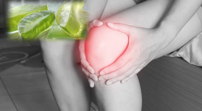 Aloe Vera Gel For Pain Swelling and Wounds