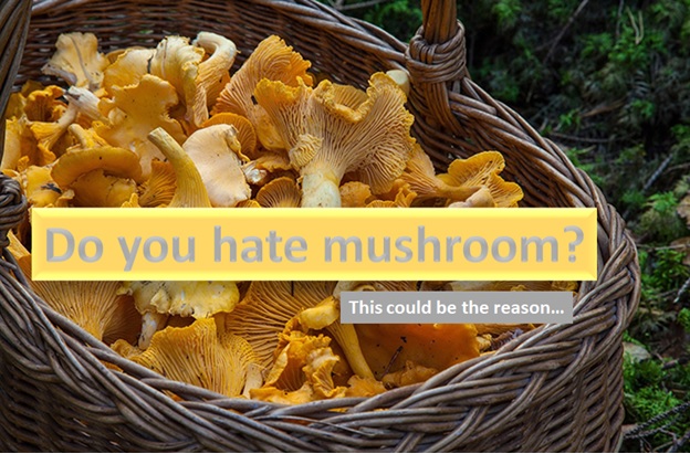 Do you hate mushroom?