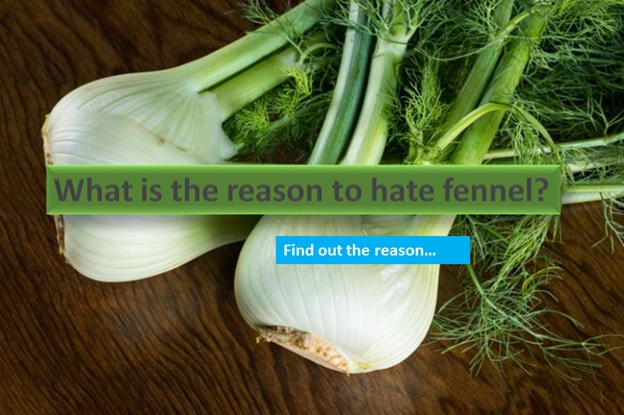 Why is the reason to hate fennel?