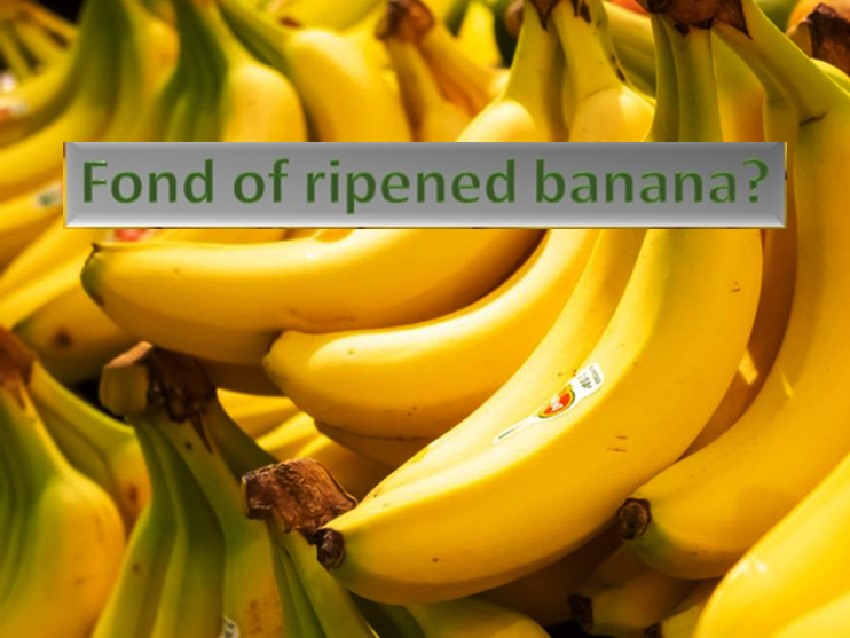 Fond of ripened banana?