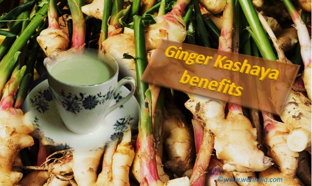 Ginger Kashaya Benefits