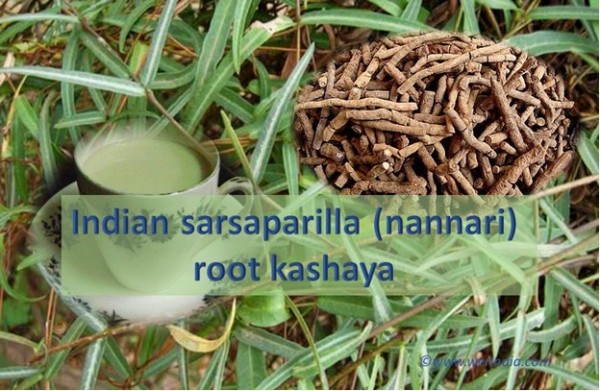 Indian Sarsaparilla Root