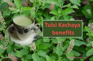 Tulsi Kashaya Benefits
