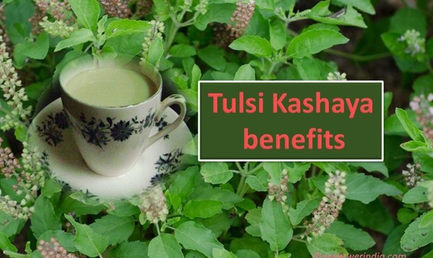 Tulsi Kashaya Benefits