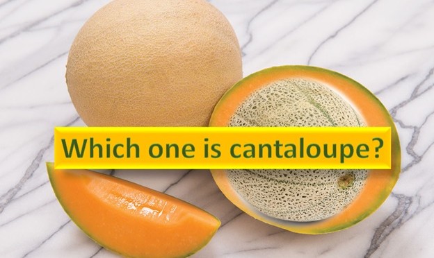 Which one is Cantaloupe?