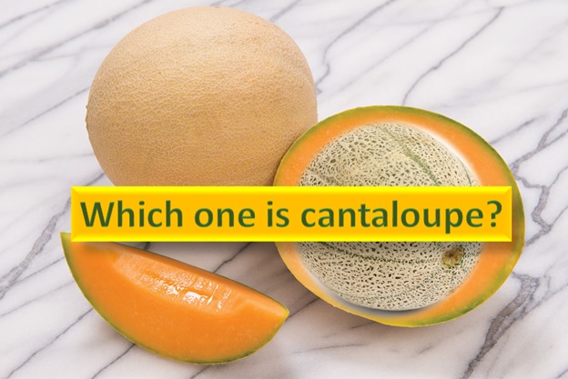 Which one is Cantaloupe?