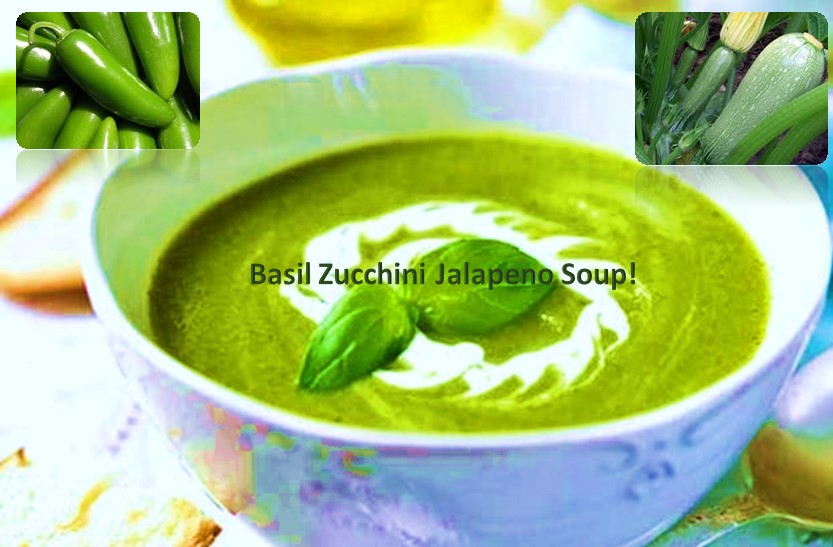 Basil zucchini Jalapeno soup