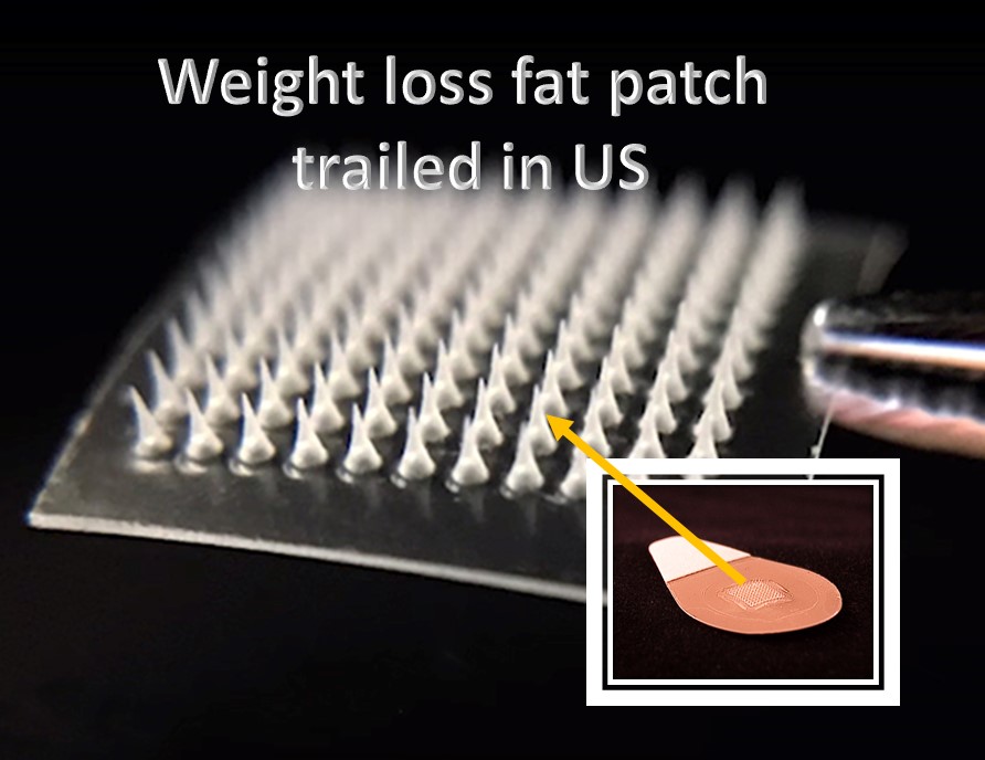 Weight loss Fat Patch is trialled in US