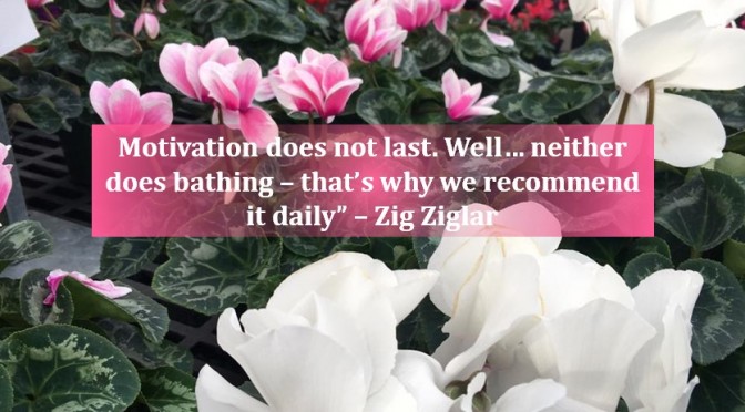 How to stay Motivated