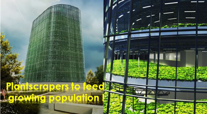 Not skyscrapers, This is Plantscrapers !