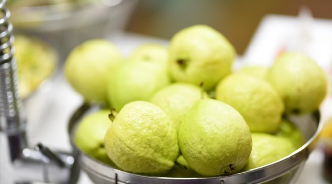 GUAVA - MIRACLE TREE