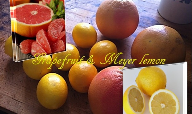 Grapefruit And Meyer Lemon