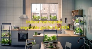 Indoor Hydroponic veg garden by IKEA
