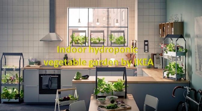 Indoor Hydroponic veg garden by IKEA