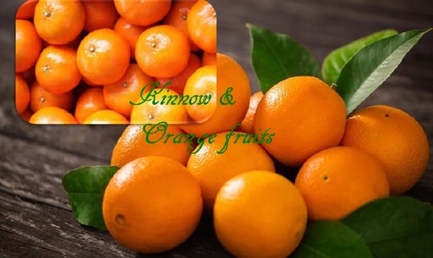 Kinnow and Orange