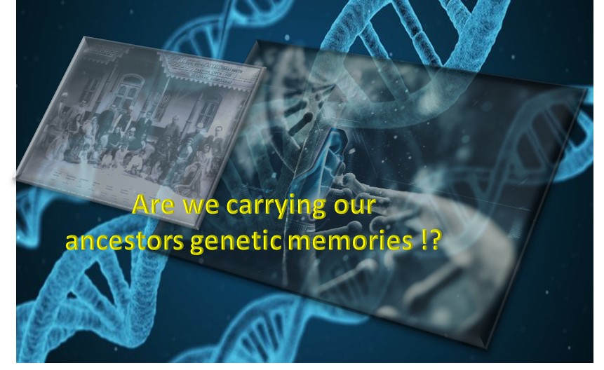We may be carrying our ancestors’ genetic memories