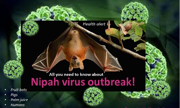 Nipah Virus Outbreak