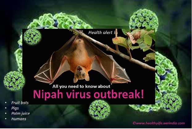 Nipah Virus Outbreak!  HealthyLife  WeRIndia