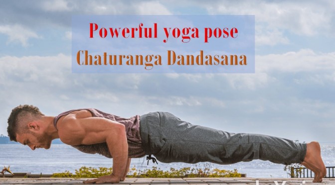 Powerful yoga pose Chaturanga Dandasana
