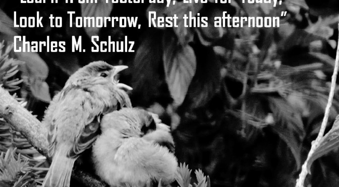 Today is tomorrow's yesterday