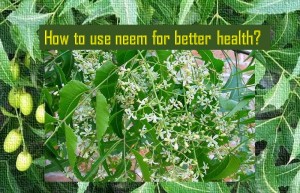 Ways to use Neem for better health