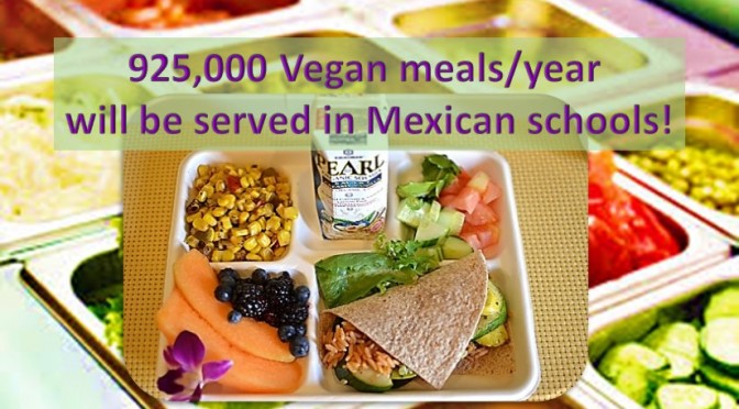Mexico School district adopted Vegan meals