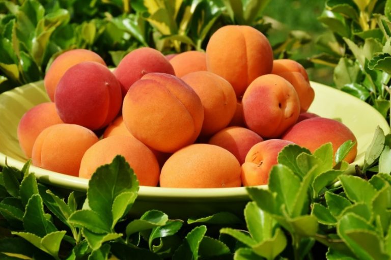 Peach allergy HealthyLife WeRIndia