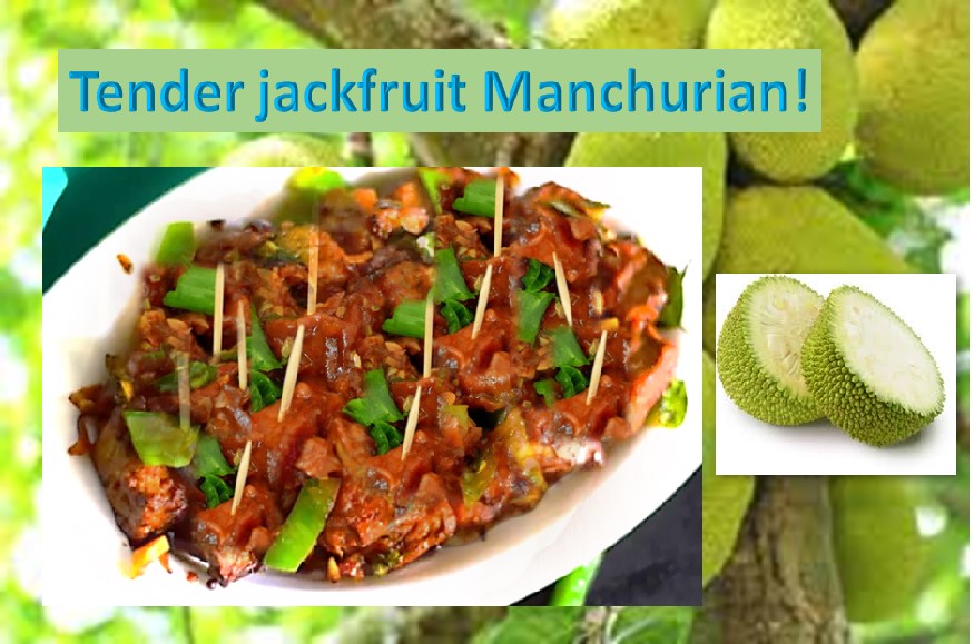 Jackfruit Manchurian